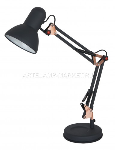   Arte Lamp Junior A1330LT-1BA