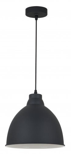Светильник ARTE LAMP BRACCIO A2055SP-1BK