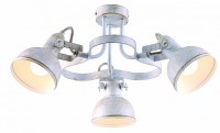 Светильник потолочный ARTE LAMP MARTIN A5216PL-3WG